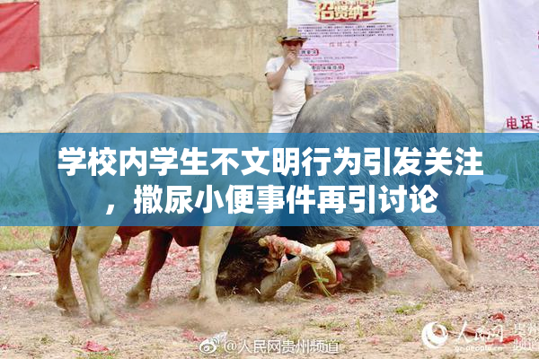 学校内学生不文明行为引发关注，撒尿小便事件再引讨论