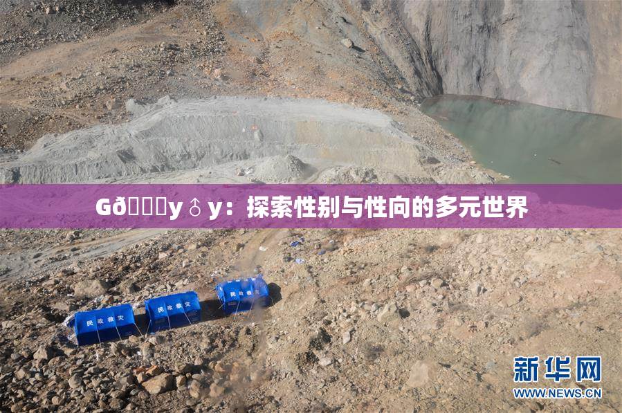 G🈚y♂y：探索性别与性向的多元世界