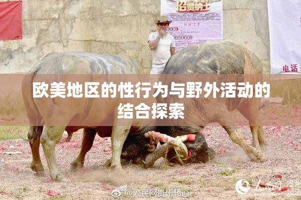 欧美地区的性行为与野外活动的结合探索