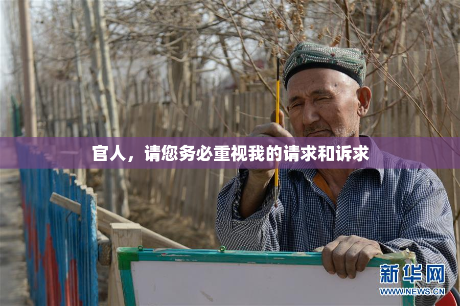 官人，请您务必重视我的请求和诉求