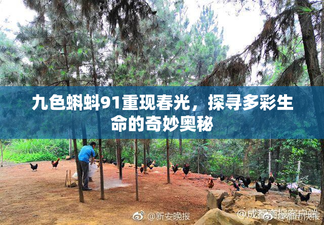 九色蝌蚪91重现春光，探寻多彩生命的奇妙奥秘