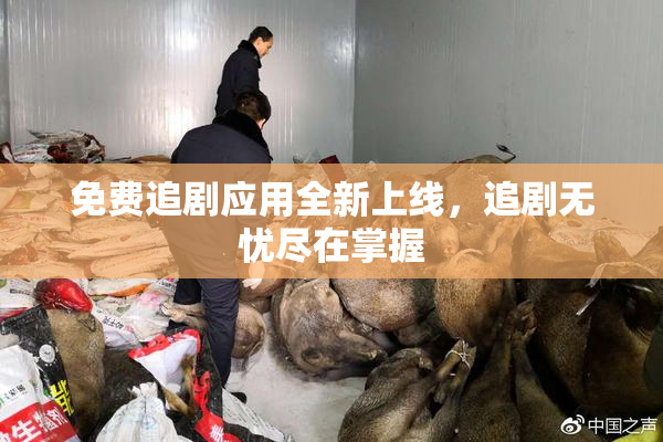 免费追剧应用全新上线，追剧无忧尽在掌握