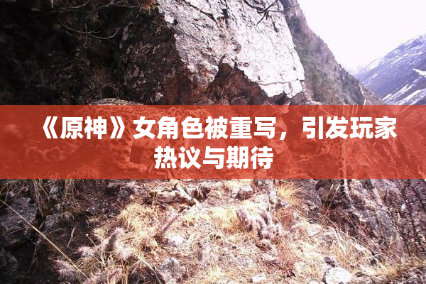 《原神》女角色被重写，引发玩家热议与期待