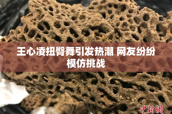 王心凌扭臀舞引发热潮 网友纷纷模仿挑战