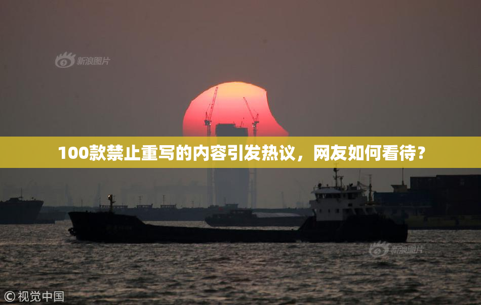 100款禁止重写的内容引发热议，网友如何看待？