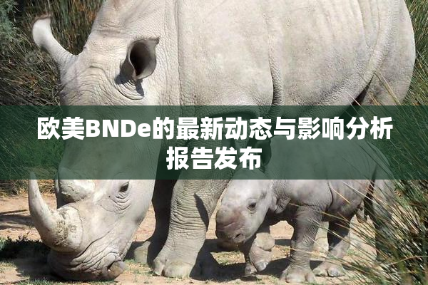 欧美BNDe的最新动态与影响分析报告发布