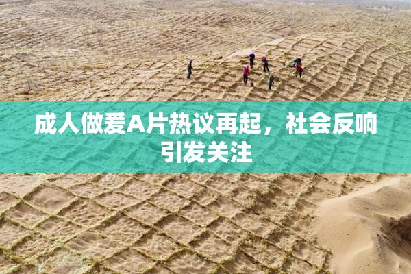 成人做爰A片热议再起，社会反响引发关注