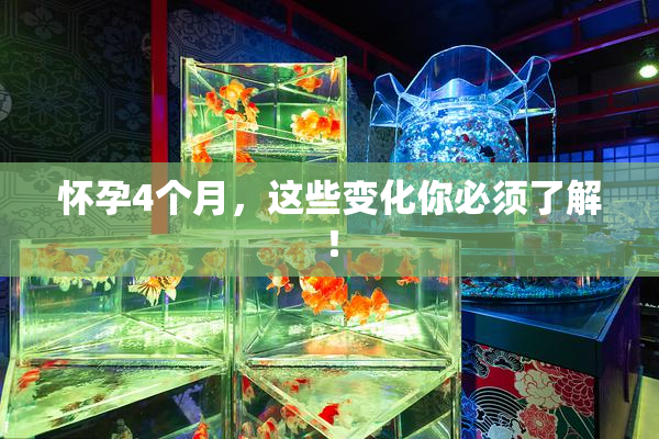 怀孕4个月，这些变化你必须了解！