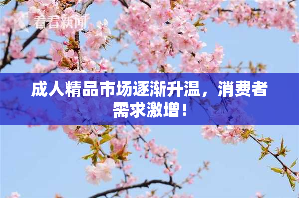 成人精品市场逐渐升温，消费者需求激增！