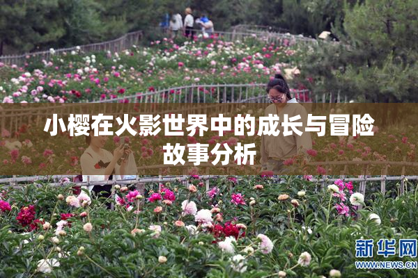 小樱在火影世界中的成长与冒险故事分析