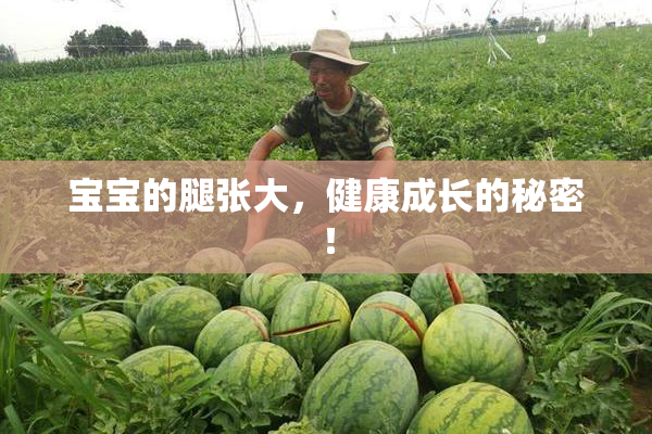 宝宝的腿张大，健康成长的秘密！