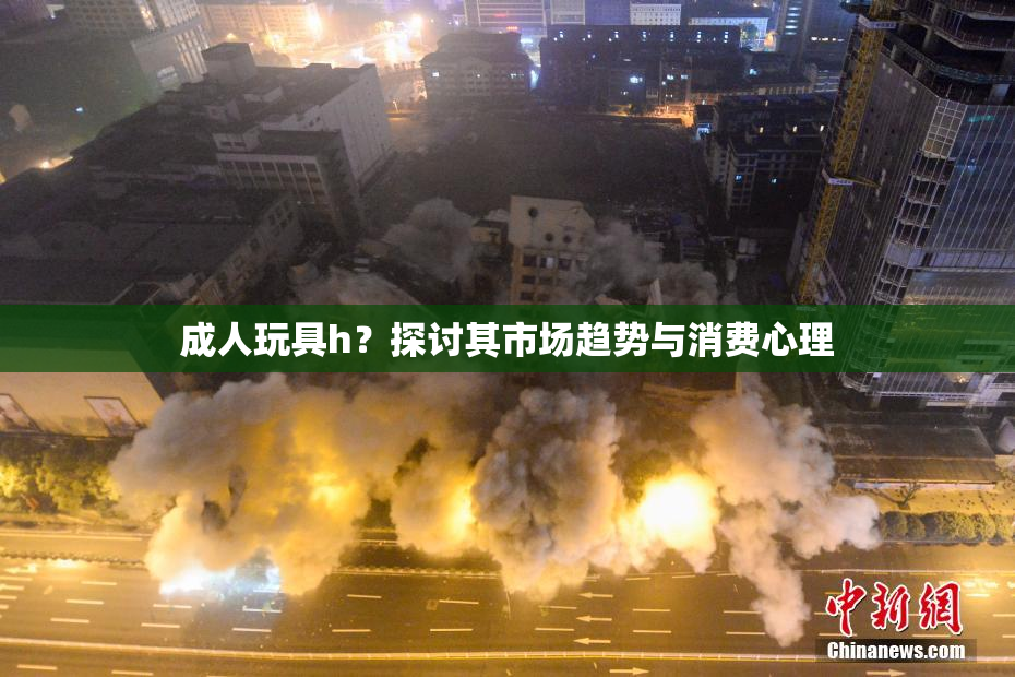 成人玩具h？探讨其市场趋势与消费心理