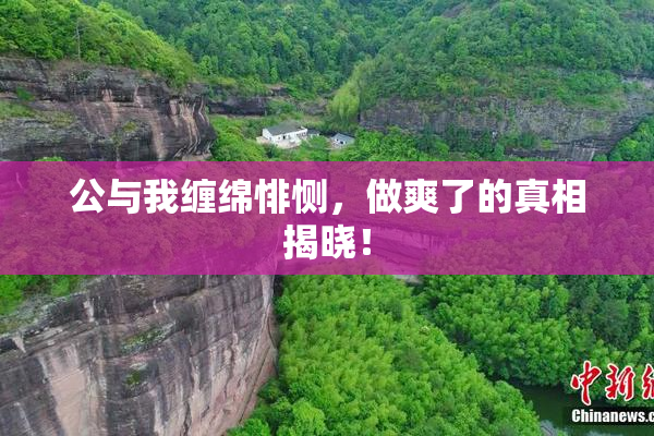 公与我缠绵悱恻，做爽了的真相揭晓！