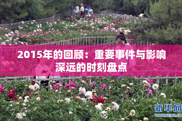 2015年的回顾：重要事件与影响深远的时刻盘点