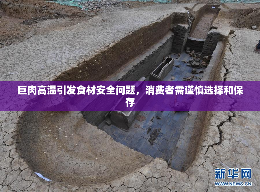 巨肉高温引发食材安全问题，消费者需谨慎选择和保存