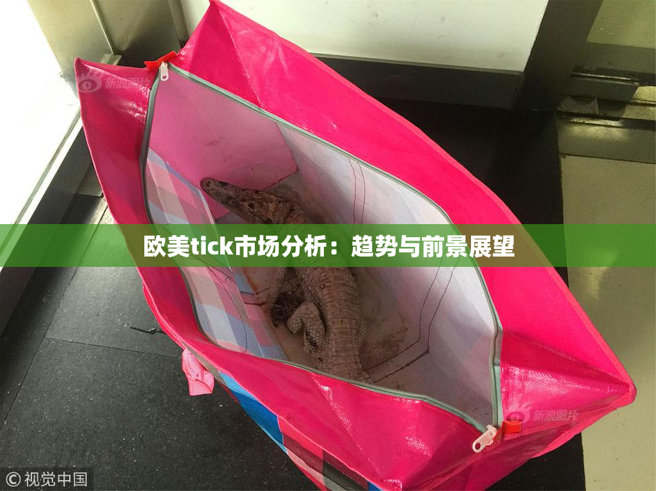 欧美tick市场分析：趋势与前景展望