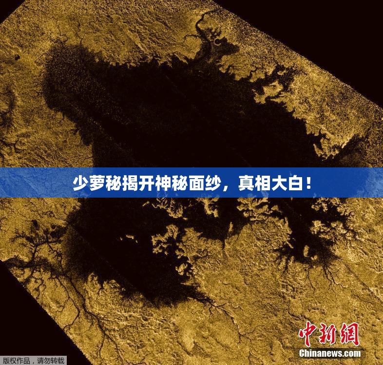 少萝秘揭开神秘面纱，真相大白！