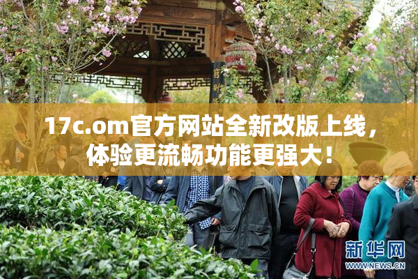 17c.om官方网站全新改版上线，体验更流畅功能更强大！
