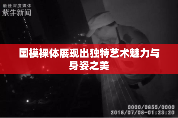 国模裸体展现出独特艺术魅力与身姿之美