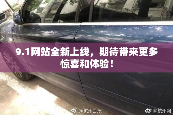 9.1网站全新上线，期待带来更多惊喜和体验！