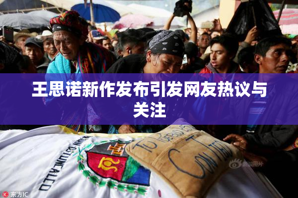 王思诺新作发布引发网友热议与关注