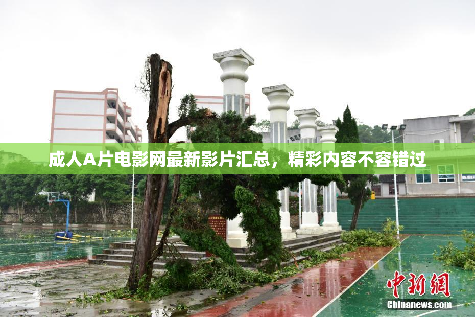 成人A片电影网最新影片汇总，精彩内容不容错过