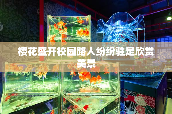 樱花盛开校园路人纷纷驻足欣赏美景
