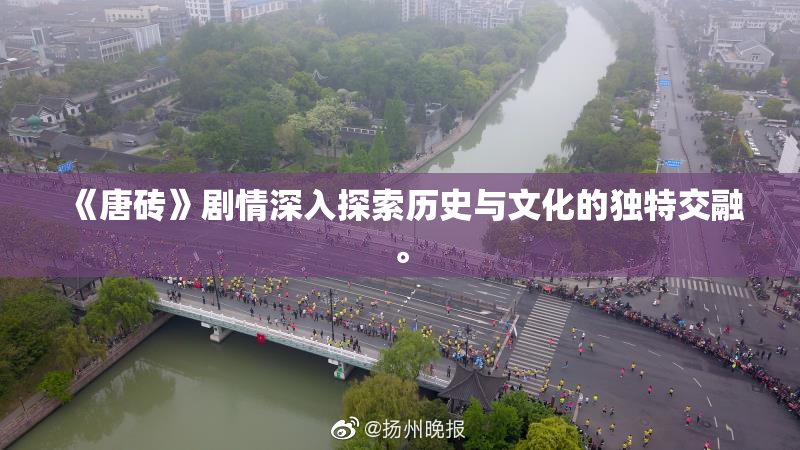 《唐砖》剧情深入探索历史与文化的独特交融。