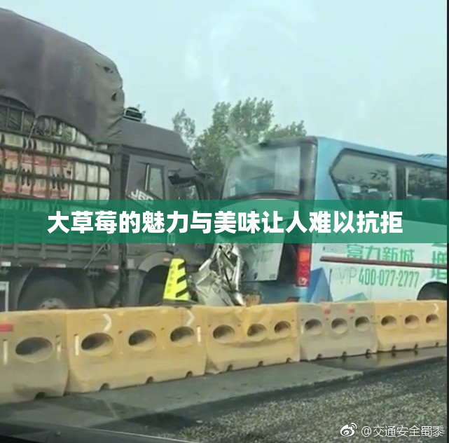 大草莓的魅力与美味让人难以抗拒