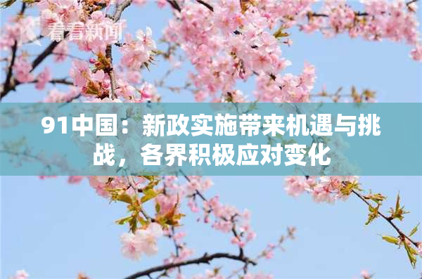 91中国：新政实施带来机遇与挑战，各界积极应对变化