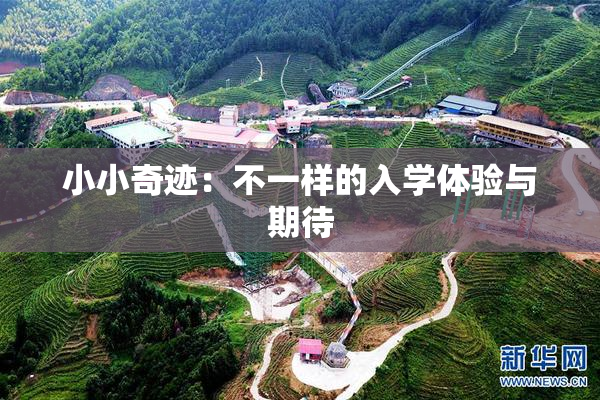 小小奇迹：不一样的入学体验与期待