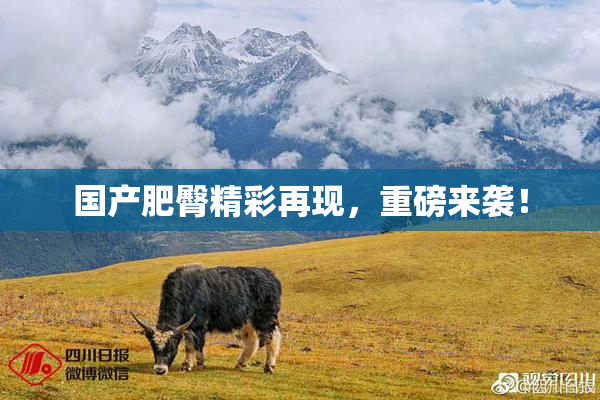国产肥臀精彩再现，重磅来袭！