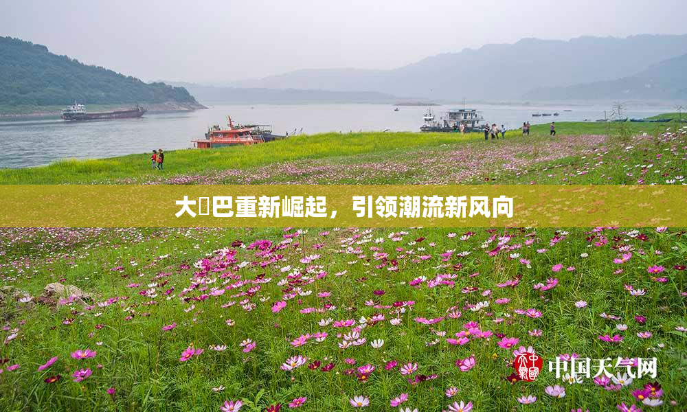 大鳮巴重新崛起，引领潮流新风向
