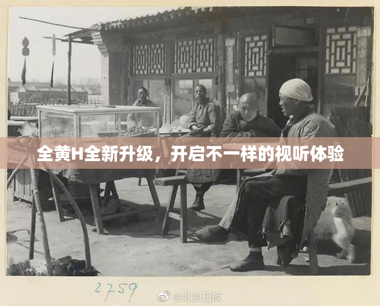 全黄H全新升级，开启不一样的视听体验