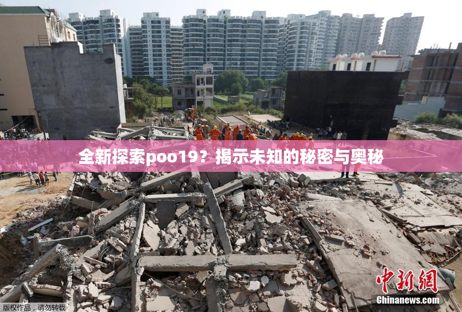 全新探索poo19？揭示未知的秘密与奥秘