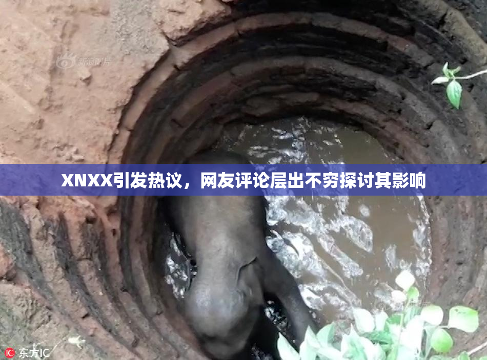 XNXX引发热议，网友评论层出不穷探讨其影响
