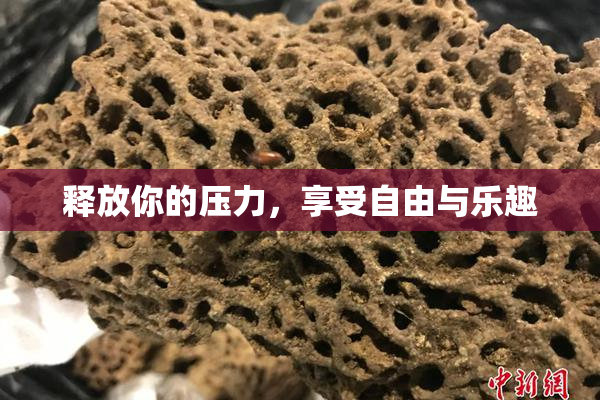 释放你的压力，享受自由与乐趣