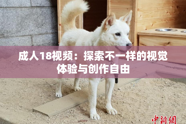 成人18视频：探索不一样的视觉体验与创作自由