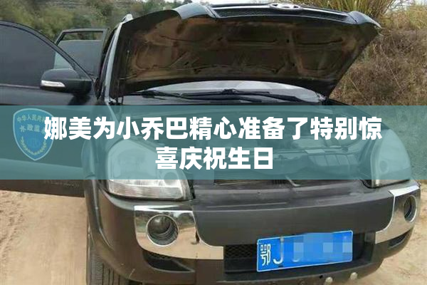 娜美为小乔巴精心准备了特别惊喜庆祝生日