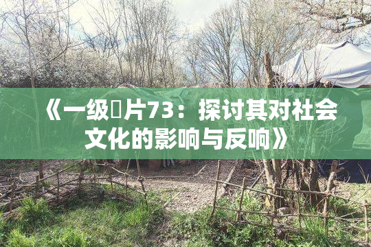 《一级婬片73：探讨其对社会文化的影响与反响》