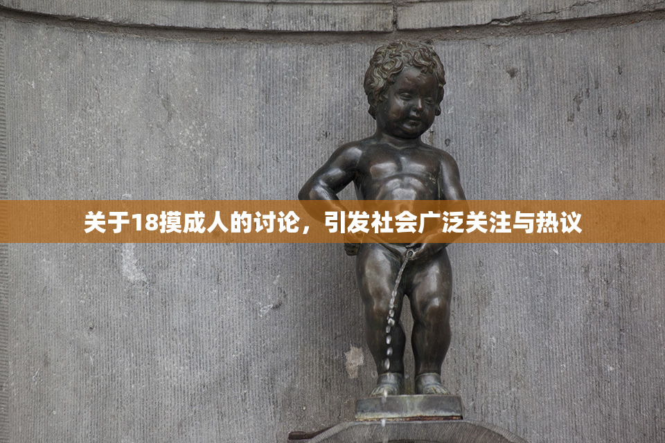 关于18摸成人的讨论，引发社会广泛关注与热议