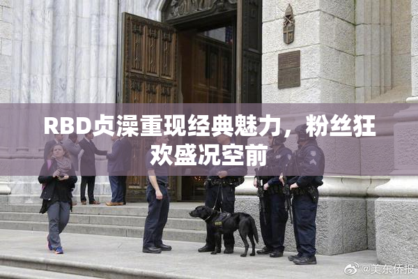 RBD贞澡重现经典魅力，粉丝狂欢盛况空前