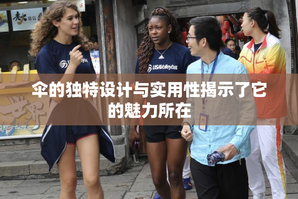 伞的独特设计与实用性揭示了它的魅力所在