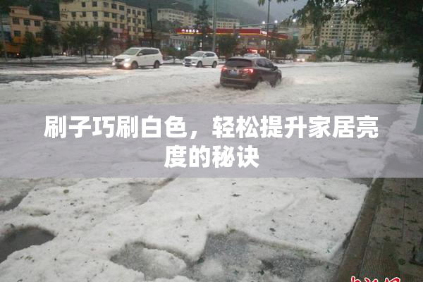 刷子巧刷白色，轻松提升家居亮度的秘诀