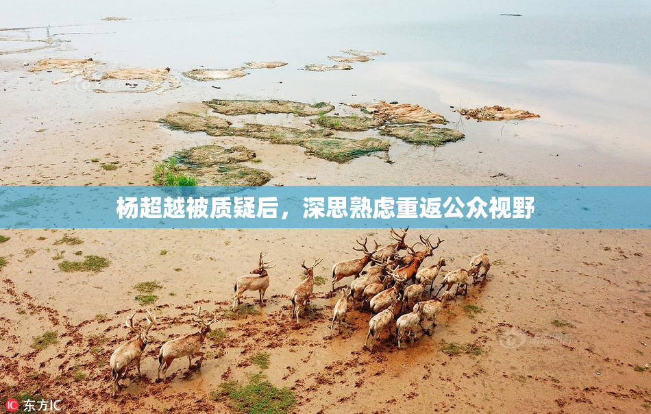 杨超越被质疑后，深思熟虑重返公众视野
