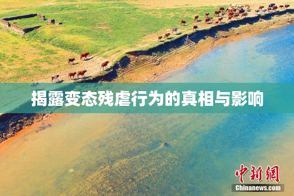 揭露变态残虐行为的真相与影响