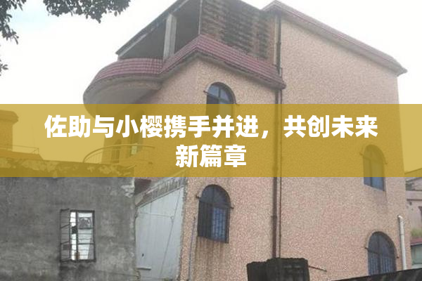 佐助与小樱携手并进，共创未来新篇章