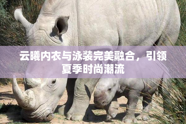 云曦内衣与泳装完美融合，引领夏季时尚潮流