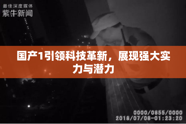 国产1引领科技革新，展现强大实力与潜力