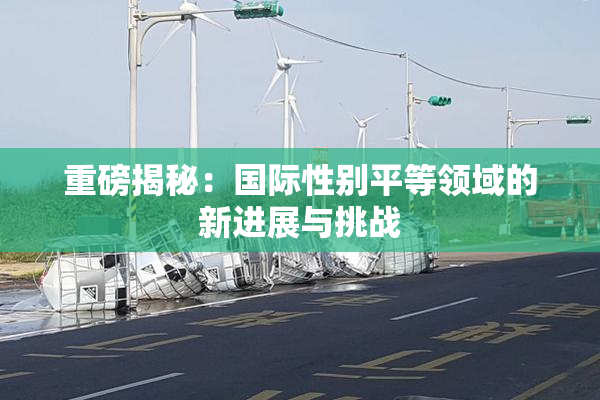 重磅揭秘：国际性别平等领域的新进展与挑战